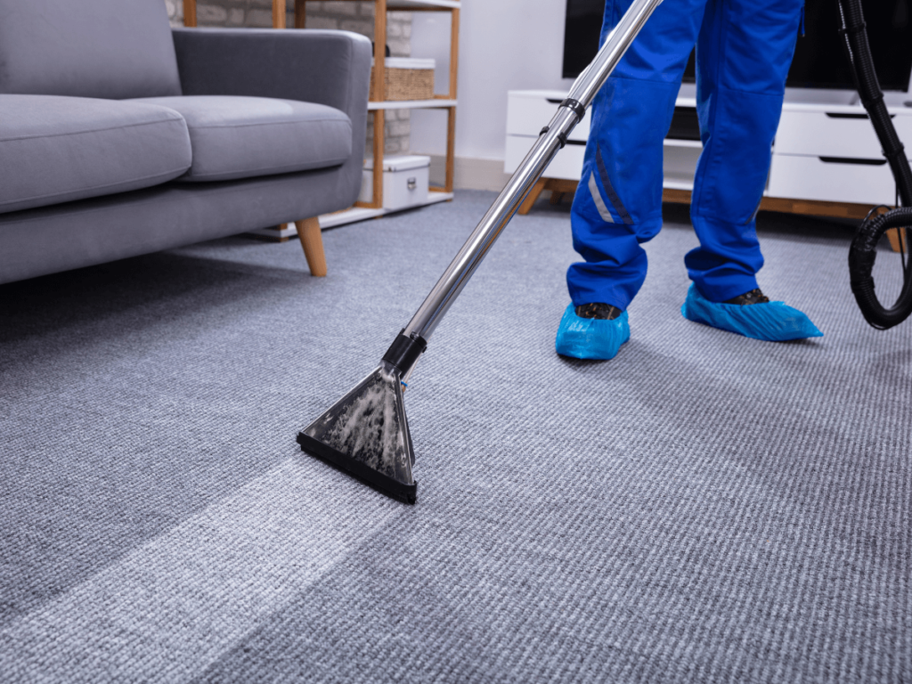 Carpet Cleaning 101