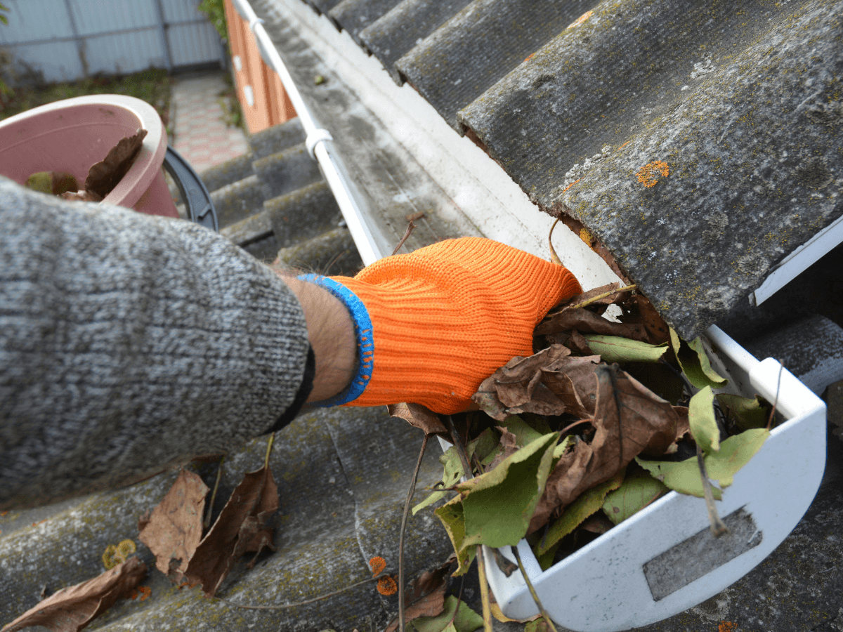 Outdoor Cleaning 101